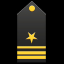 Lieutenant Junior Grade