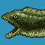 Moray Eel