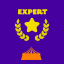 Expert à « SCOUT »