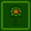 Gardener Greencap