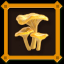 Chanterelle Mushroom