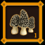 Mushroom Hunter Level 1