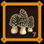 Mushroom Hunter Level 7