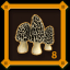 Mushroom Hunter Level 8