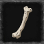 Bone Mastery