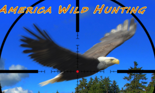 America Wild Hunting