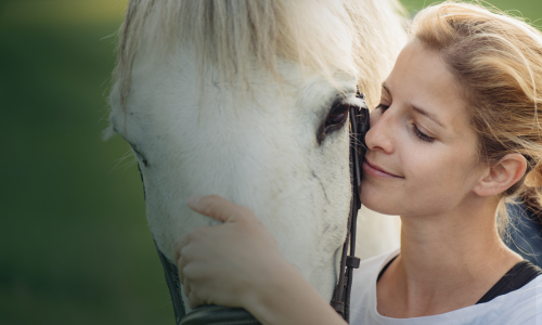 Ma Vie avec les Chevaux 2: Une Nouvelle Aventure