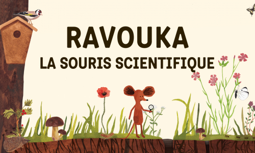 Ravouka La souris scientifique