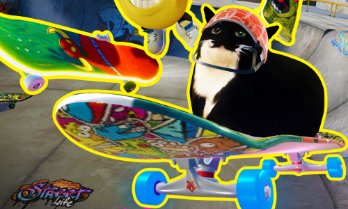 Skateboard Drifting Simulator with Maxwell Cat: The Game