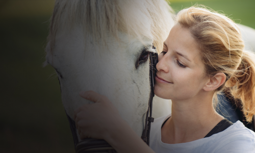 Vivre avec des chevaux : mon élevage de chevaux