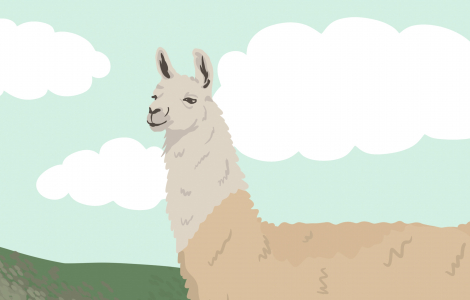 The Llama L