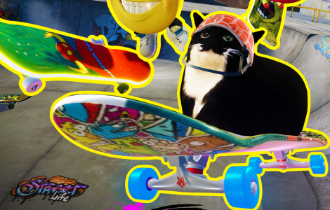 Skateboard Drifting Simulator with Maxwell Cat: The Game