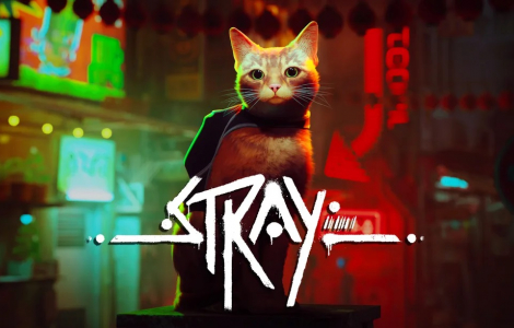 Stray