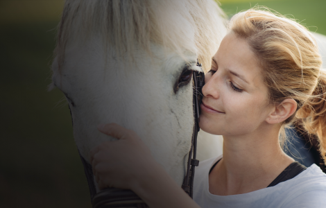 Vivre avec des chevaux : mon élevage de chevaux