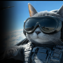 Jet Combat: Cats VS Dogs Military Simulator