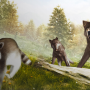 Raccoon Adventure: Animal Simulator