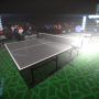 Rookie Table Tennis