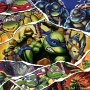 Teenage Mutant Ninja Turtles: The Cowabunga Collection