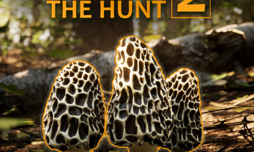 Guides et soluces deMorels The Hunt 2