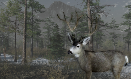 Guides et soluces de Pro Deer Hunting Out West