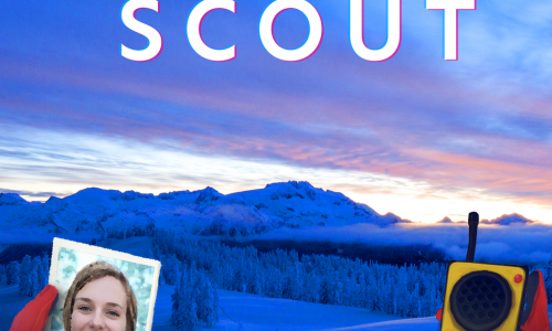 Guides et soluces deSnow Scout